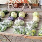 MARMARA ADALAR-16x9_033 (5)