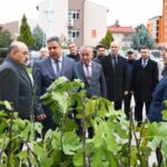 Üreticilere İncir Fidanı Desteği (5)