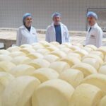 ++ 2 SÜT TESİSİ İNCELEME-16x9_055