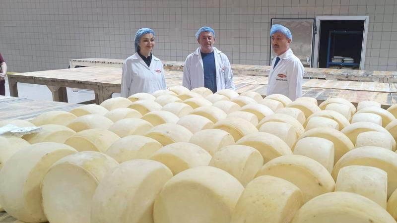 SÜT ÜRÜNLERİ İŞLETMESİ İNCELENDİ