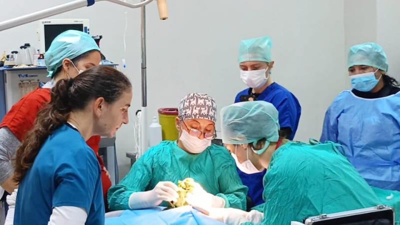 ++ 2 VETERİNER FAKÜLTE-16x9_040