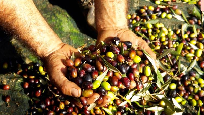 İYİ PARTİ ‘TARİŞ’E TEPKİ’ EYLEMİ YAPACAK