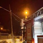 ++ 3 KEDİ KURTARMA-16x9_044