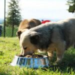 ++ 5 BARINAK ALTIEYLÜL-16x9_066