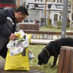 ++ 6 DURSUNBEY HAYVANLAR-16x9_005