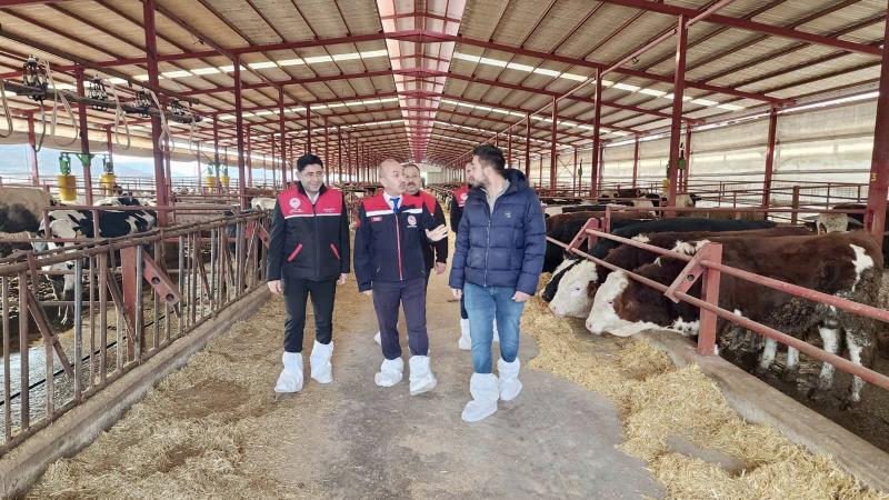 ŞAP AŞILAMASINDA ÖNEMLİ AŞAMA