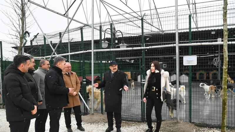 BALIKESİR’DE CAN DOSTLAR YALNIZ DEĞİL