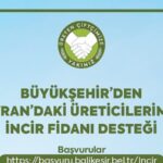 ++ 2 BBB-İNCİR FİDANI-16x9_037