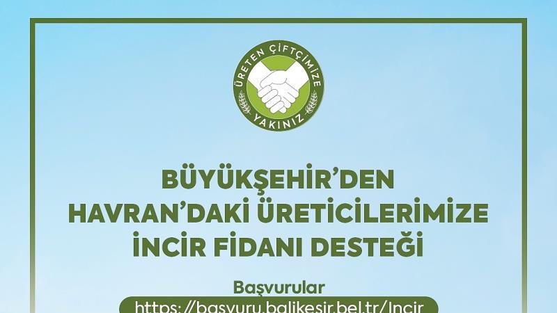 ++ 2 BBB-İNCİR FİDANI-16x9_037