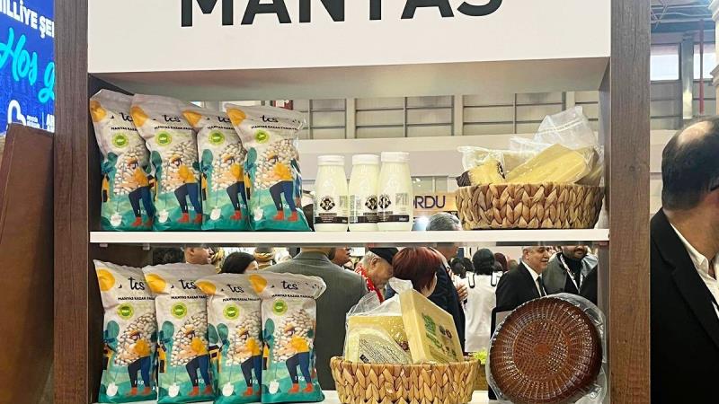 ++ 7 MANYAS TANITIM EMITT-16x9_095