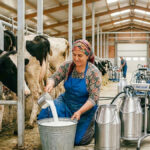 ++ 2 AK PARTİ MÜJDE-16x9_065