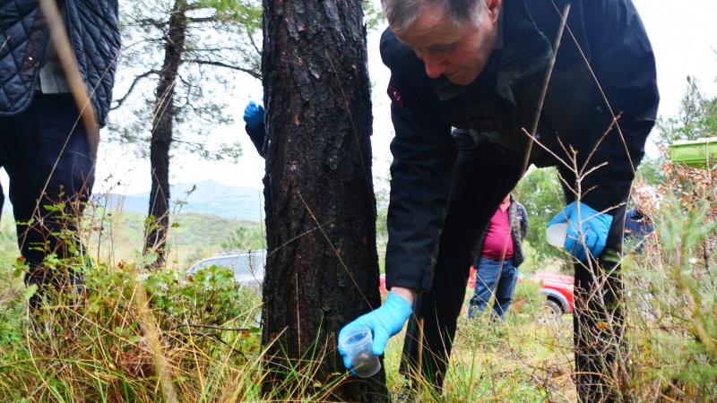 BÖCEK MÜCADELESİ DEVAM-16x9_008