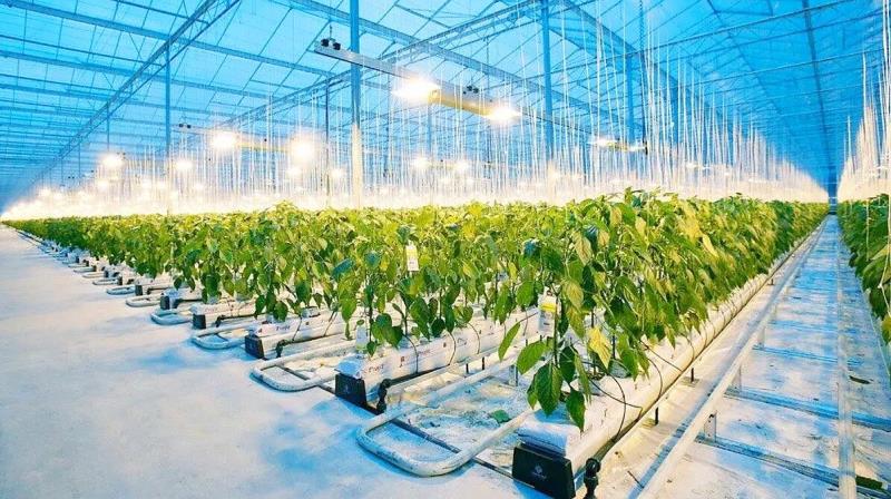 ++ 2 GÖNEN OSB TOPLANTI-16x9_005