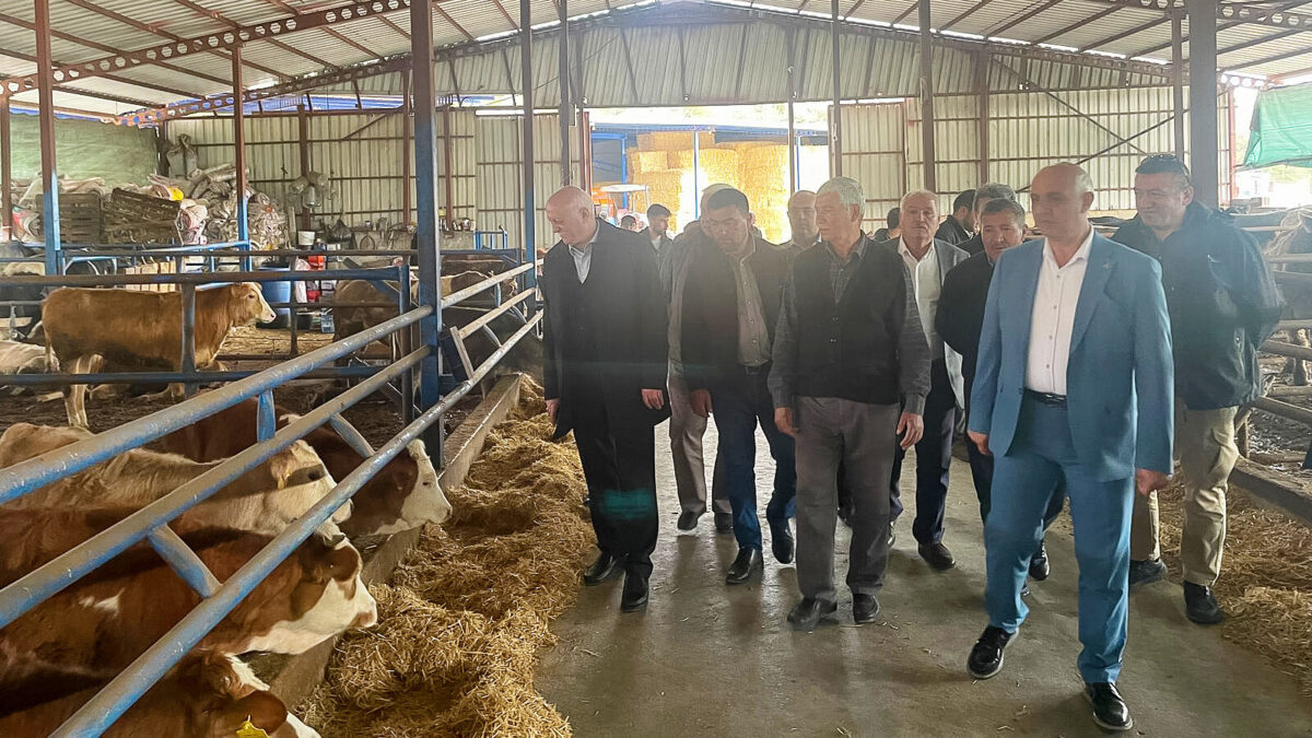 TZOB Genel Başkanı Şemsi Bayraktar Balıkesir Altıeylül'de hayvancılık tesislerini inceliyor