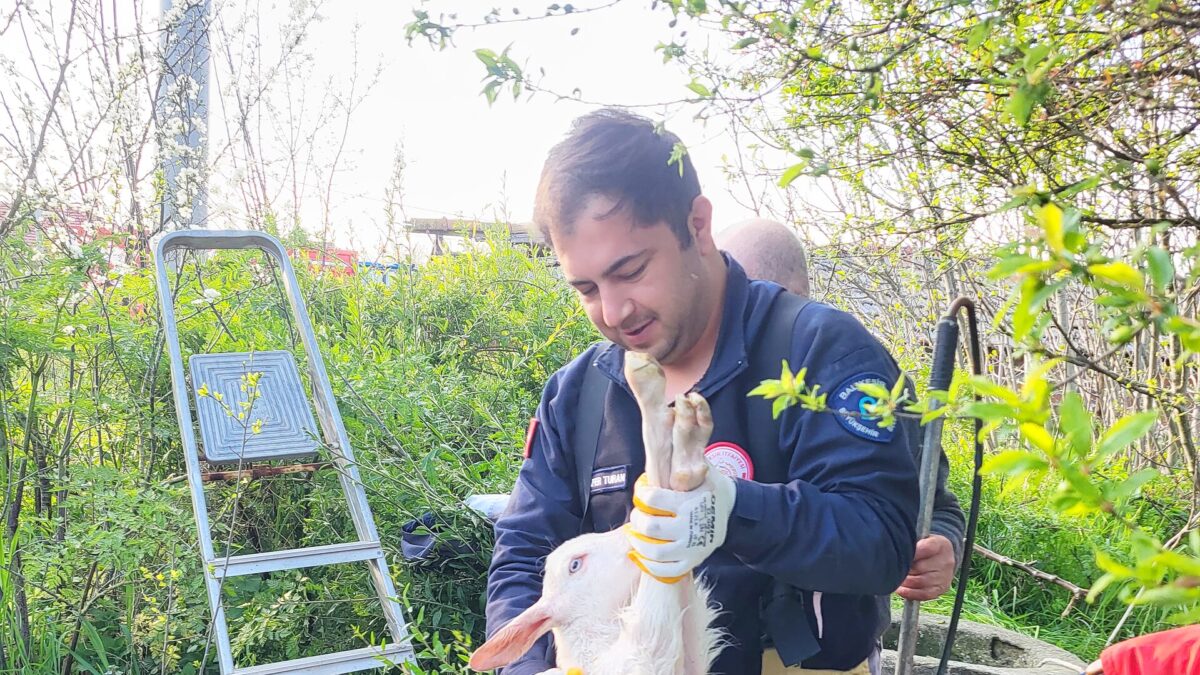 Manyas'ta kuyuya düşen oğlağın itfaiye ekiplerince kurtarılması