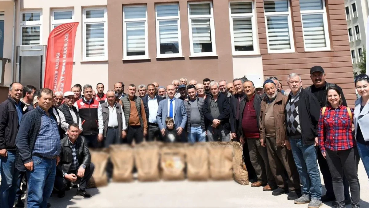 Balıkesir'de 615 Üreticiye 4 Ton Hibeli Ayçiçeği Tohumu Dağıtıldı