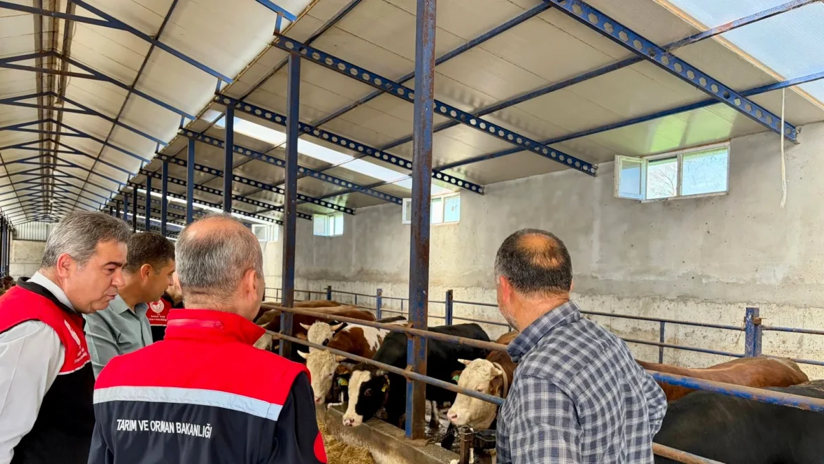 Balıkesir'de Kurban Bayramı Öncesi Sıkı Hayvancılık Denetimi