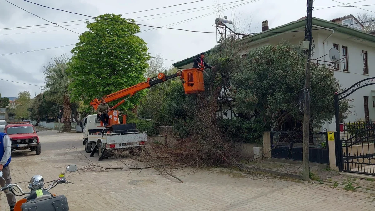 Erdek’te Bahar Temizliği Başladı: Yeşil Alanlar Bakıma Alındı
