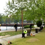 Altıeylül Yeşil Alan ve Park Bakım Çalışmaları Hız Kesmiyor