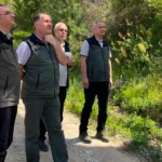 Balıkesir'de Kestane Gal Arısına Karşı Biyolojik Mücadele Başlatıldı