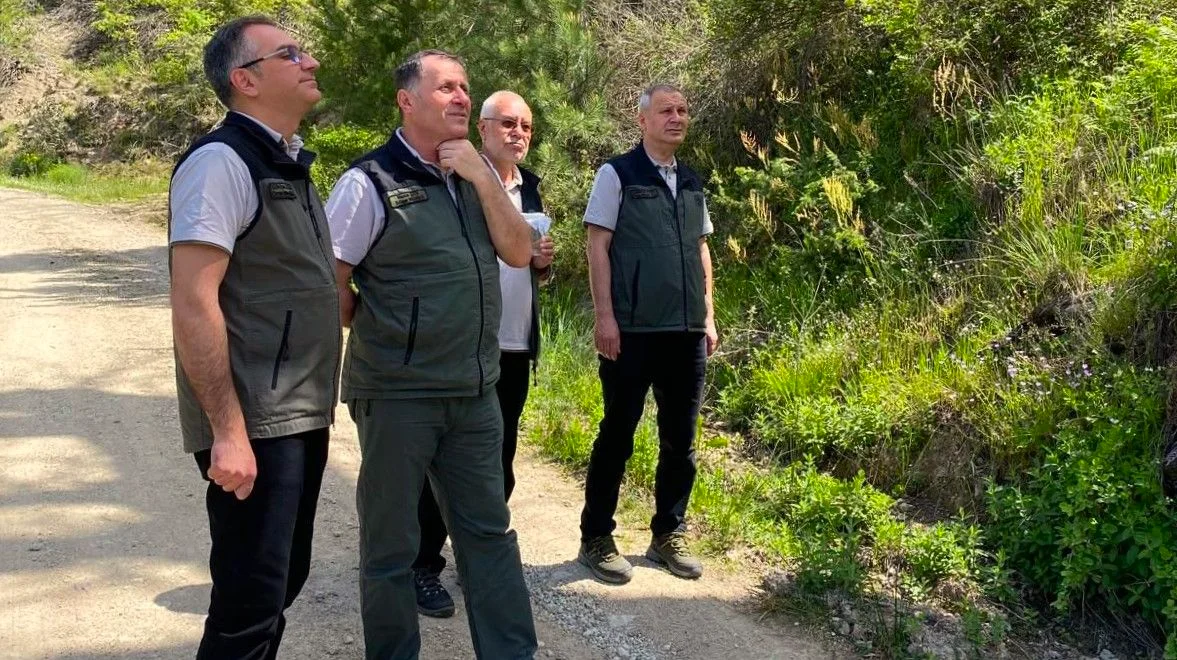 Balıkesir'de Kestane Gal Arısına Karşı Biyolojik Mücadele Başlatıldı