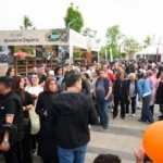Balıkesir Gastronomi Festivali: 50 Metrelik Kokoreç Rekoru