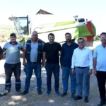 Altıeylül'de Ata Tohumu Hasadı: Altındane Buğdayı Bereketlendi