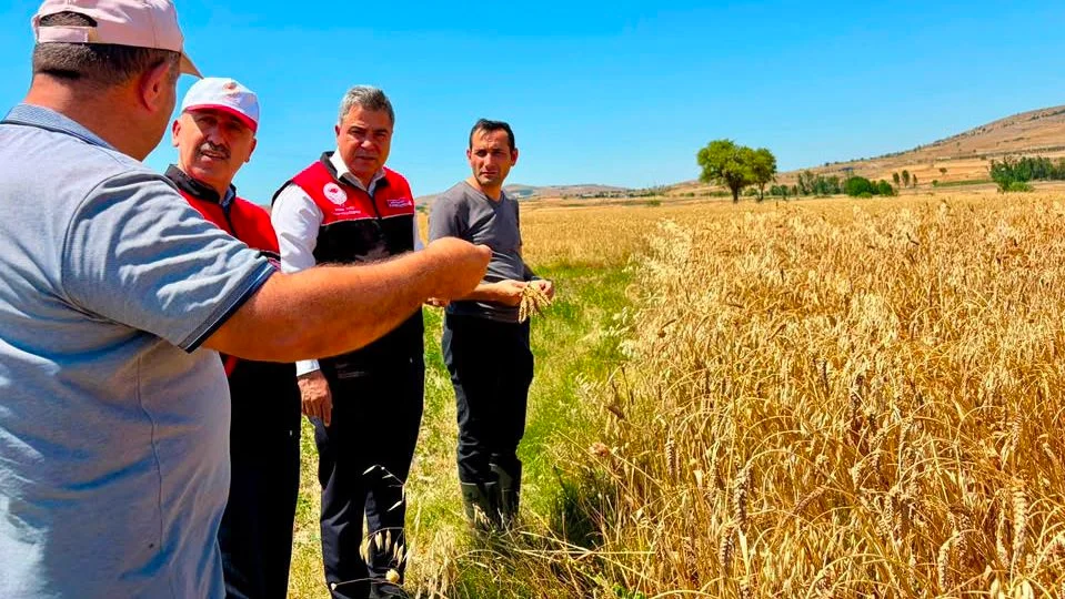 Balıkesir'de Hububat Hasadı Sürüyor: İl Müdürü Düzgün Çiftçilerle Buluştu