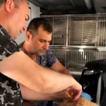 Balıkesir'de Sokak Hayvanlarına Ücretsiz Tedavi: Can Dost Aracı 20 İlçeyi Gezecek