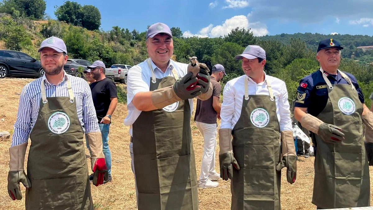 Havran'da Keklikler Doğaya Salındı: Ekolojik Denge İçin Anlamlı Adım