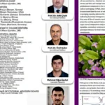 Balıkesir Üniversitesi'nden Çuha Çiçeği Araştırması: Potansiyeli Gün Yüzüne Çıkarıldı