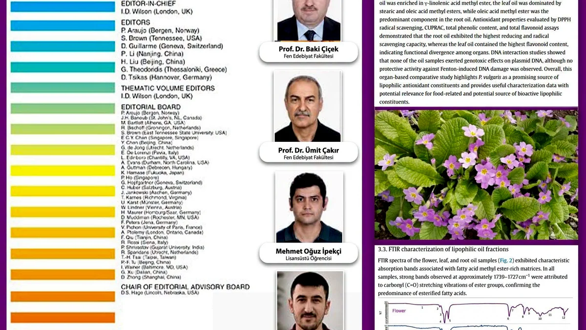 Balıkesir Üniversitesi'nden Çuha Çiçeği Araştırması: Potansiyeli Gün Yüzüne Çıkarıldı