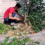 Bigadiç Belediyesi'nden Kapsamlı Temizlik ve Yeşil Alan Bakımı