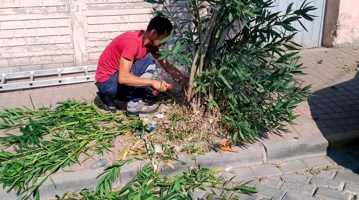 Bigadiç Belediyesi'nden Kapsamlı Temizlik ve Yeşil Alan Bakımı