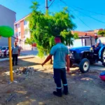 Burhaniye Belediyesi Park ve Yeşil Alan Bakım Çalışmalarını Sürdürüyor